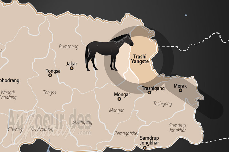 La localisation du District de Trashi Yangtse au Bhoutan