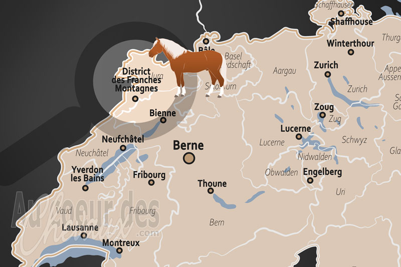 La localisation du District des Franches Montagnes en Suisse