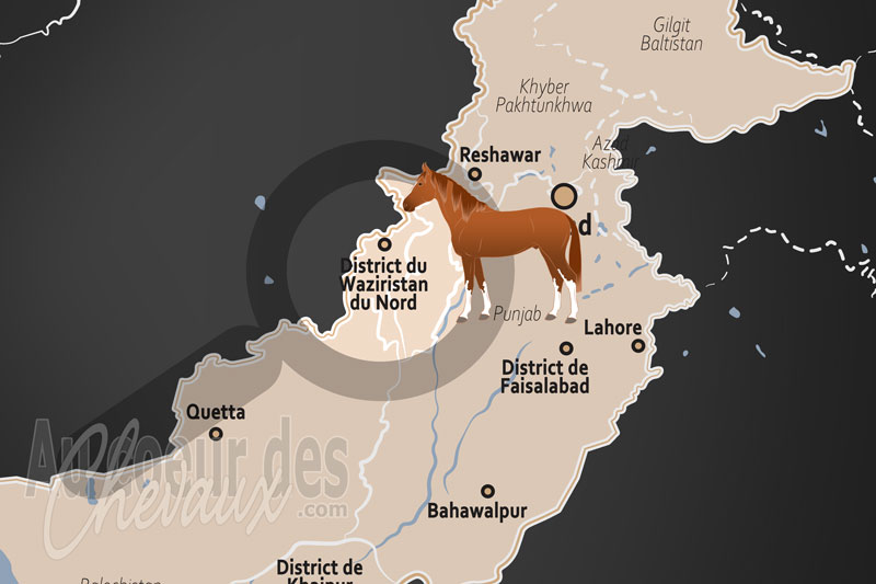 Le District du Waziristan du Nord, r�silience �questre dans les bastions de la fronti�re