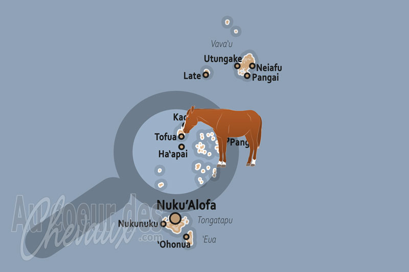 La localisation de la Division d'Ha'apai au Tonga