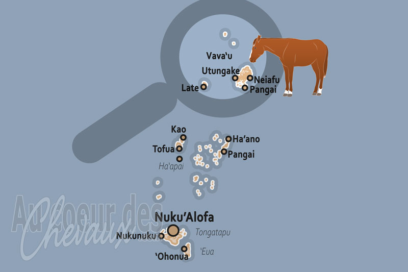 La localisation de la Division de Vava'u au Tonga