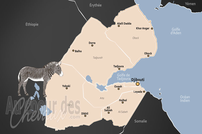 Djibouti, r�silience dans la corne de l'afrique