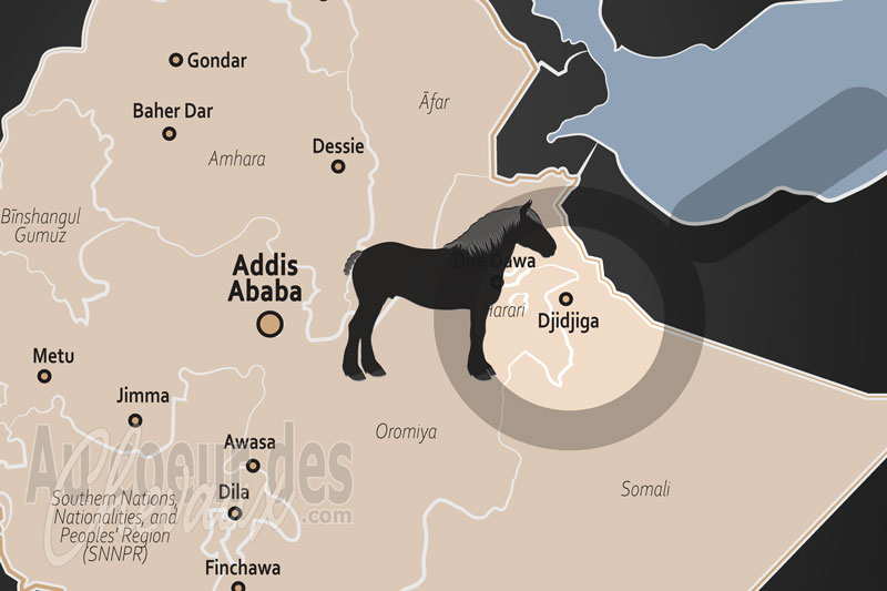 La localisation de Djidjiga en �thiopie