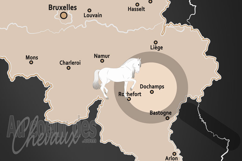 Dochamps, l'esprit de l'ardennais au c?ur des for�ts profondes