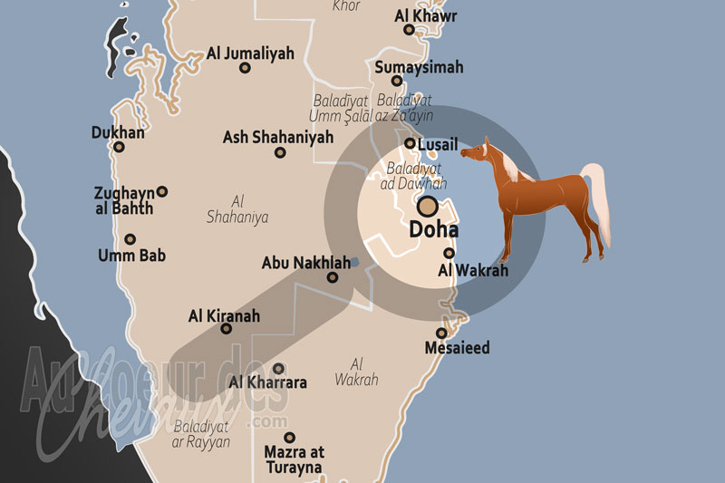 La localisation de Doha au Qatar