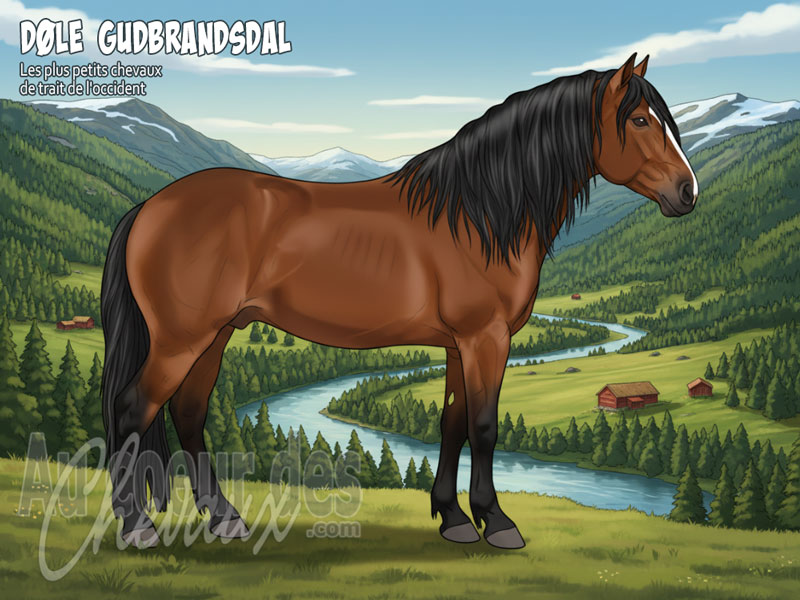 Le Cheval D�le Gudbrandsdal, la force des vall�es norv�giennes