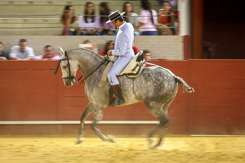 La Doma vaquera, entre tradition pastorale, art �questre et performance technique