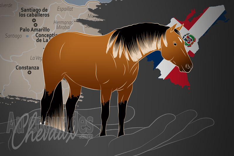 L'Association de la R�publique Dominicaine du Quarter Horse, une organisation qui g�re le quarter horse en r�publique dominicaine