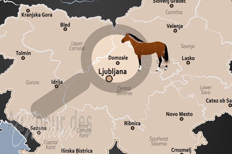 La localisation de Domzale en Slov�nie