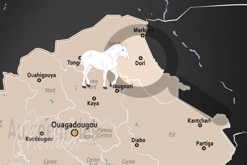 La localisation de Dori au Burkina Faso