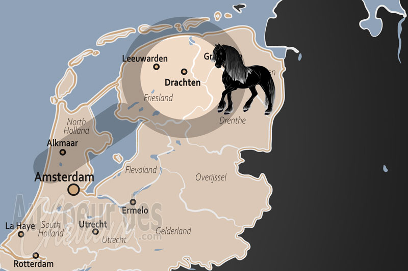 Drachten, le centre n�vralgique de la fili�re �quine frisonne