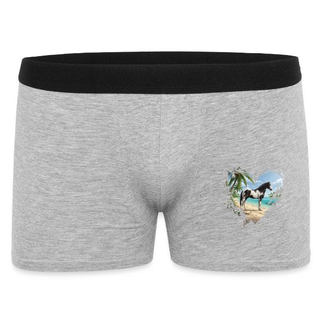 Un cheval Abaco Barbe, la plage et un coeur
