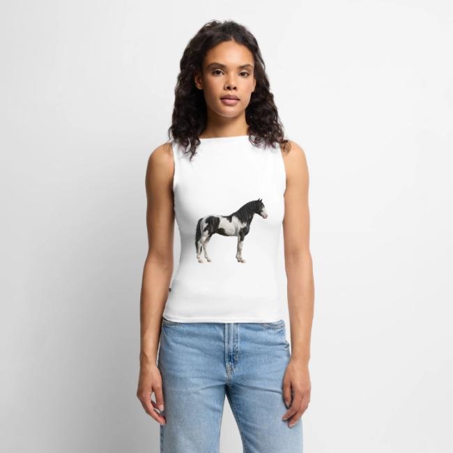 Une illustration r�aliste du cheval Abaco Barbe