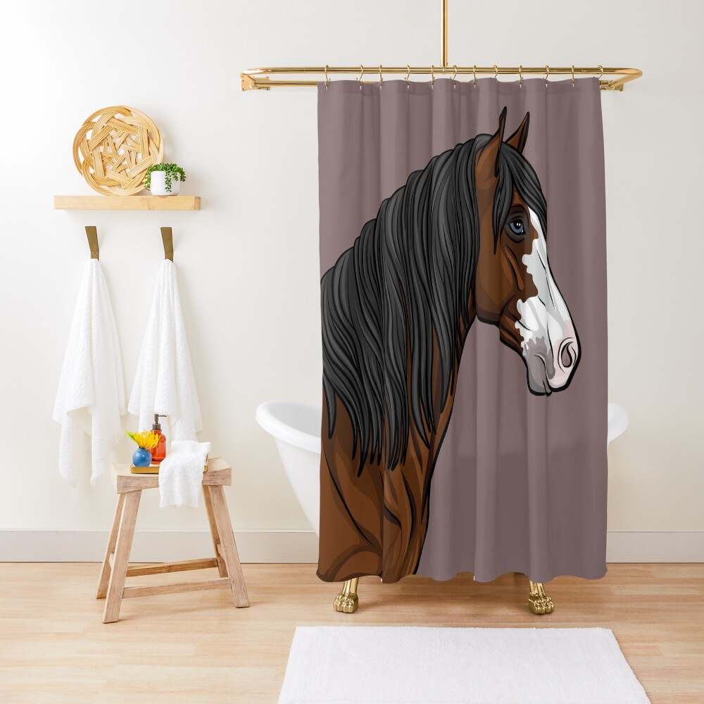 La t�te du cheval Abaco Barbe avec une robe baie