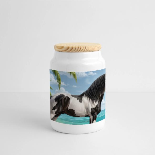 Un cheval Abaco Barbe et un paysage des Bahamas