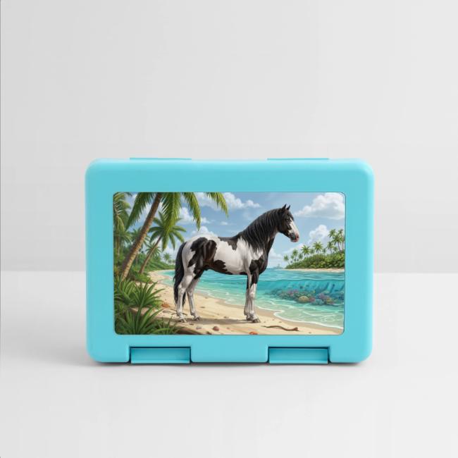Un cheval Abaco Barbe et un paysage des Bahamas