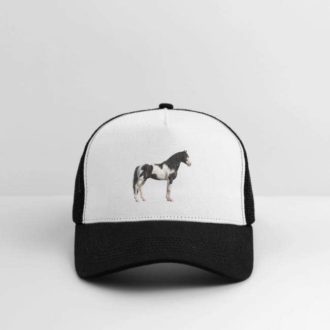 Une illustration r�aliste du cheval Abaco Barbe