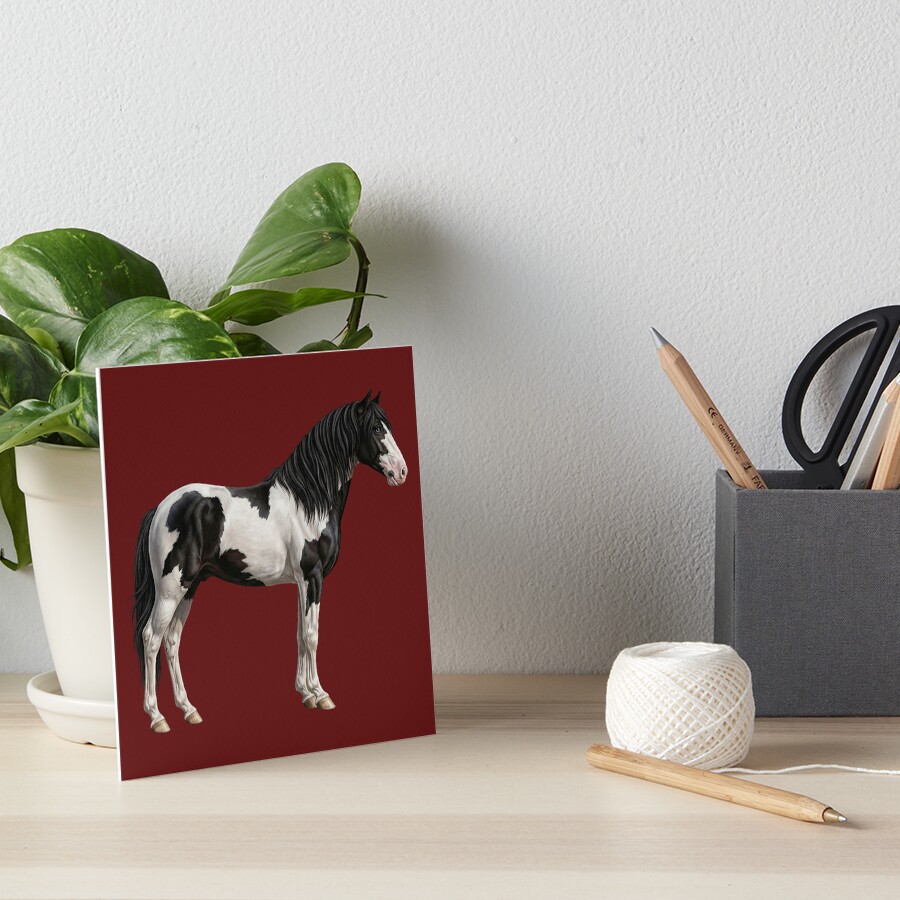 Une illustration r�aliste du cheval Abaco Barbe