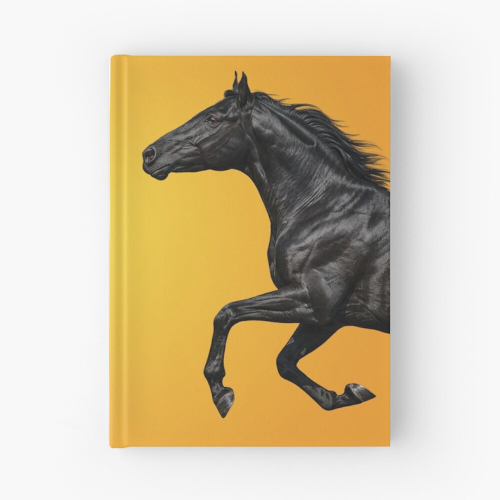 Un cheval Abaga noir au galop