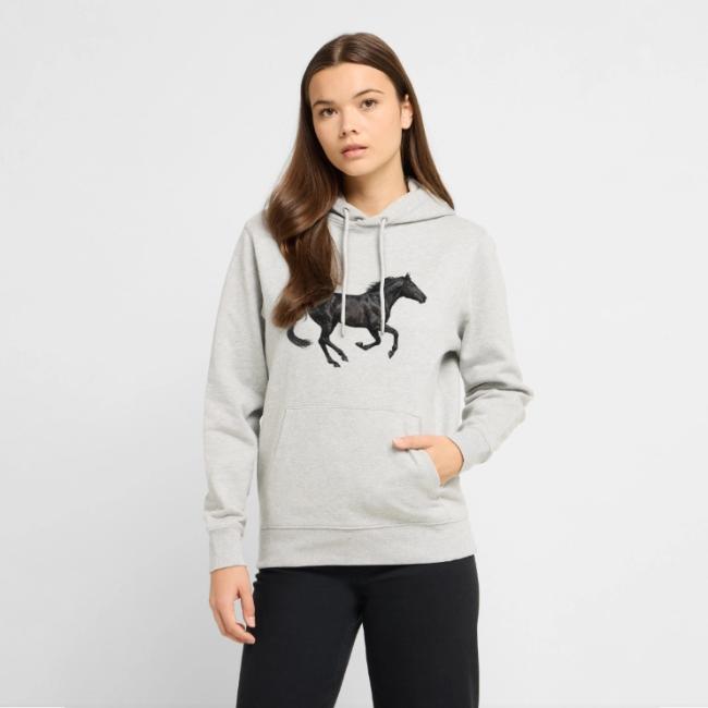 Un cheval Abaga noir au galop