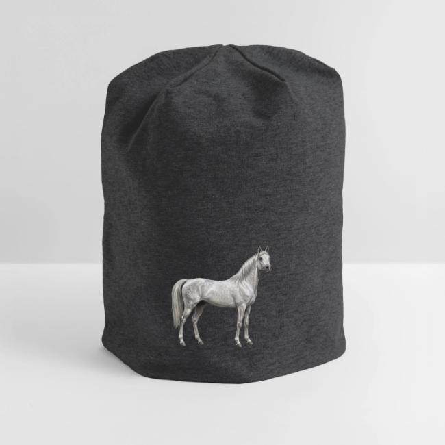Un cheval Arabe gris de la lign�e Abbayan