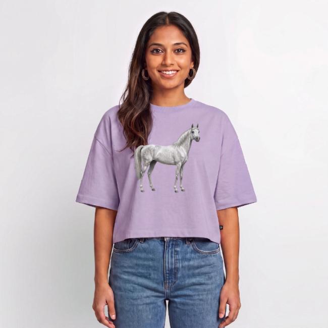Un cheval Arabe gris de la lign�e Abbayan