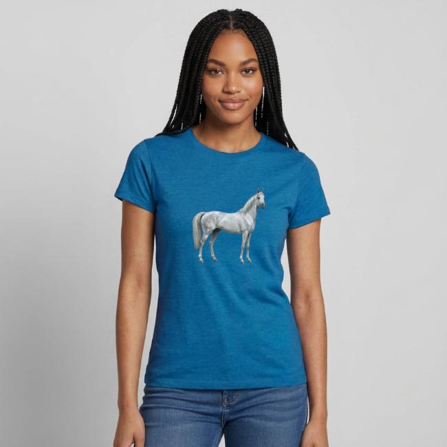Un cheval Arabe gris de la lign�e Abbayan