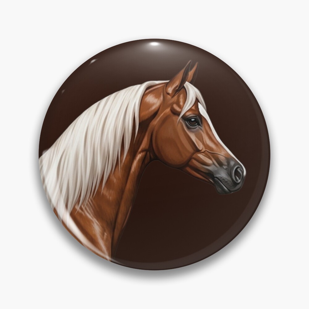 Le cheval Abou'Ourquob, une lign�e de l'Arabe au Y�men