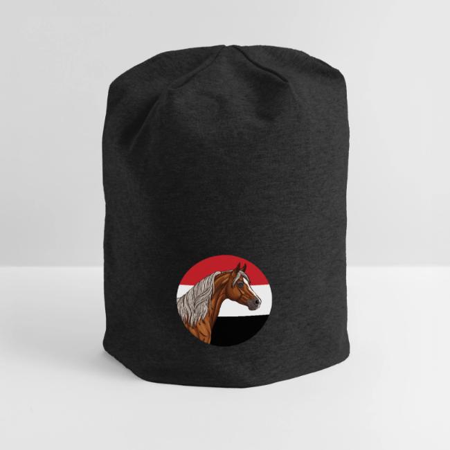 Un cheval Abou'Ourquob et le drapeau du Y�men