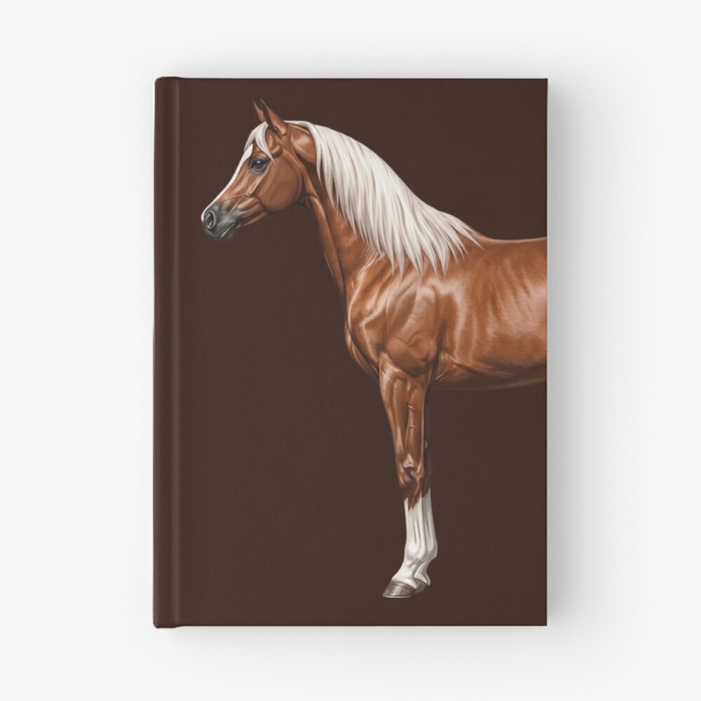 Le cheval Abou'Ourquob, une lign�e de l'Arabe au Y�men