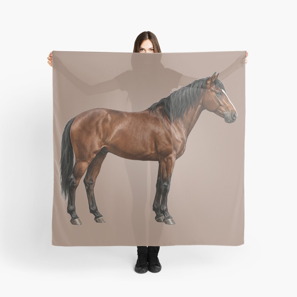 L'Abyssinien, un cheval originaire de l'�thiopie