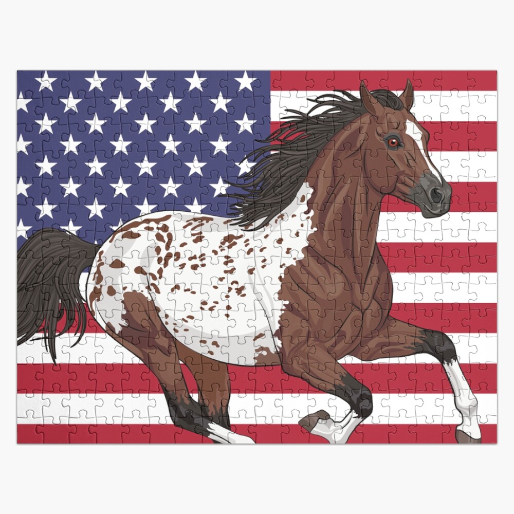 Un cheval Appaloosa et le drapeau des USA