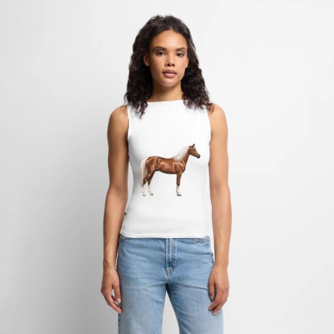 Le cheval Abou'Ourquob, une lign�e de l'Arabe au Y�men