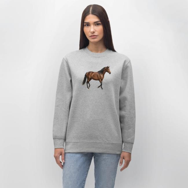 L'Abstang, un cheval originaire des �tats Unis