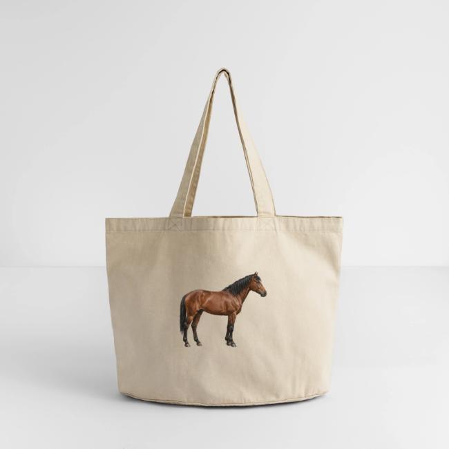 L'Abyssinien, un cheval originaire de l'�thiopie