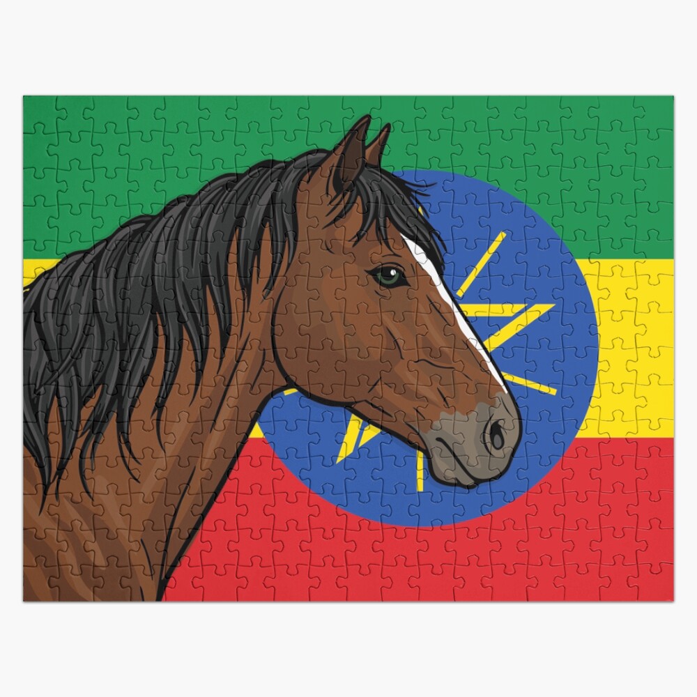 La t�te du Cheval Abyssinien devant le drapeau de l'�thiopie