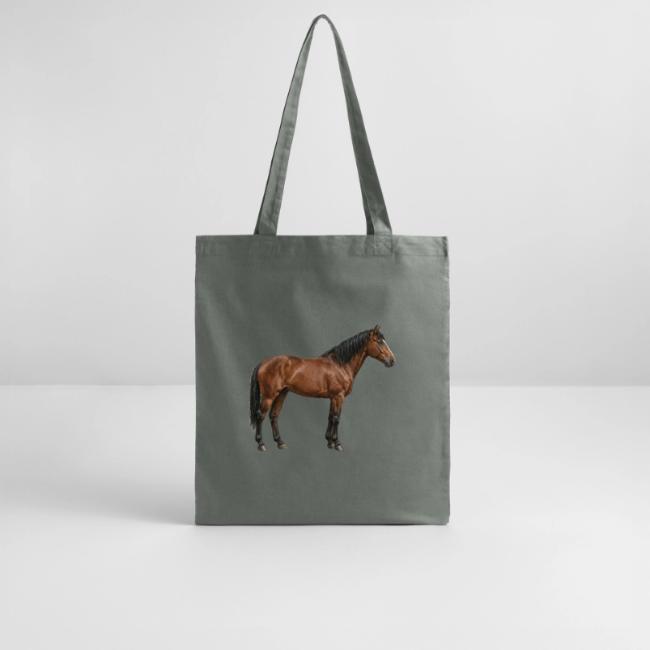 L'Abyssinien, un cheval originaire de l'�thiopie