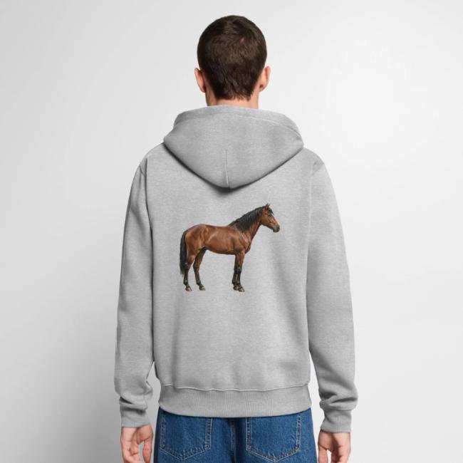 L'Abyssinien, un cheval originaire de l'�thiopie