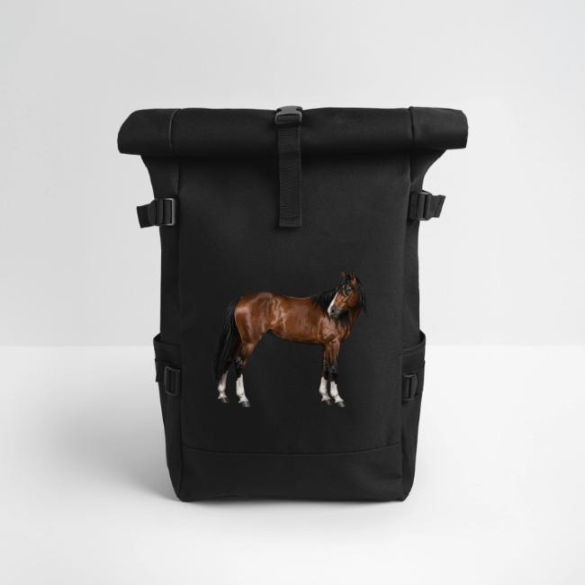 Une illustration r�aliste du Cheval Adaev