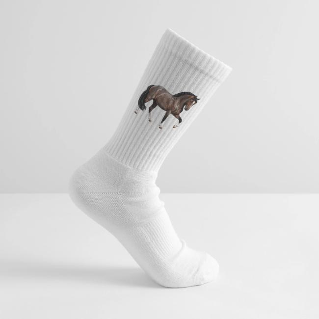 L'Aegidienberger, un cheval originaire de l'Allemagne