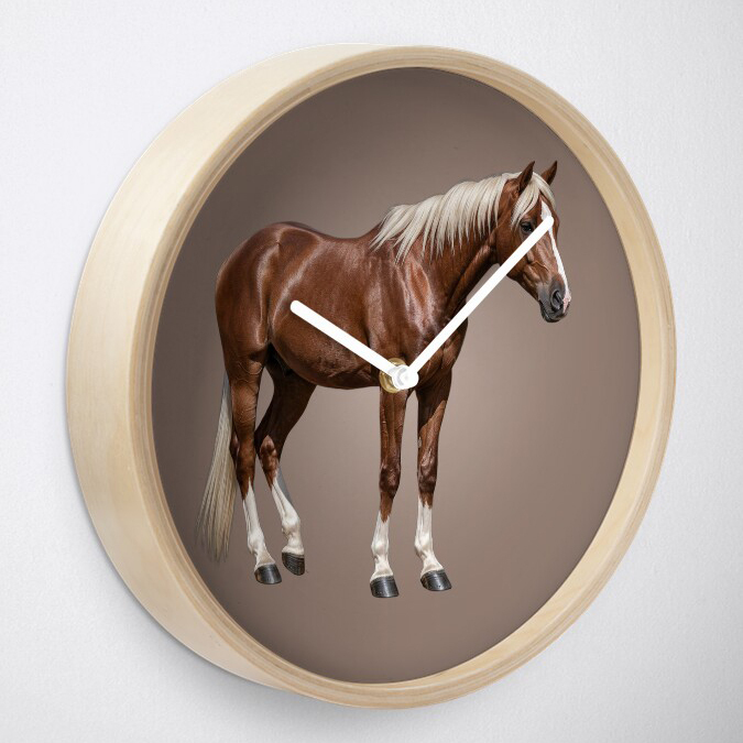 L'A�nos, un cheval originaire de la Gr�ce