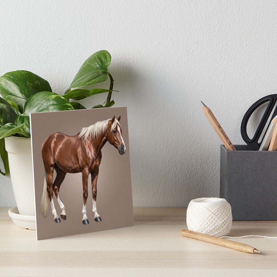 L'A�nos, un cheval originaire de la Gr�ce