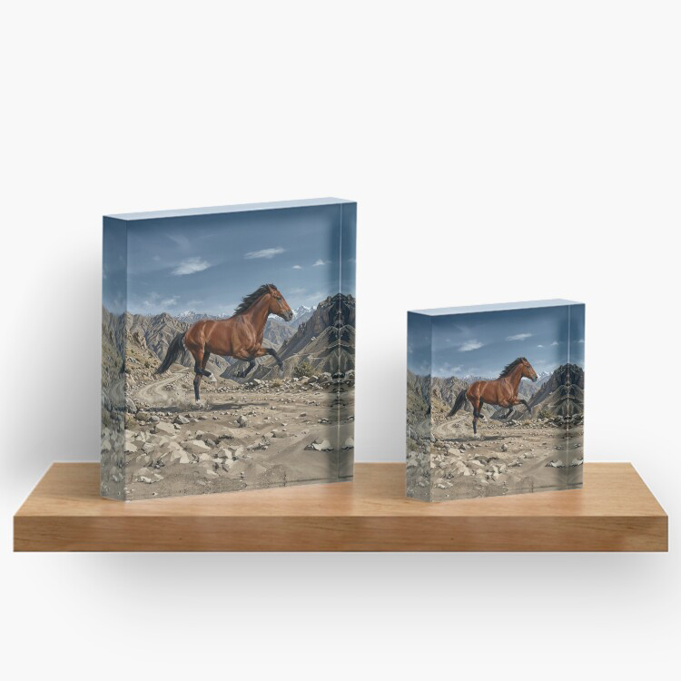 Le Cheval Afghan et un paysage de l'Afghanistan