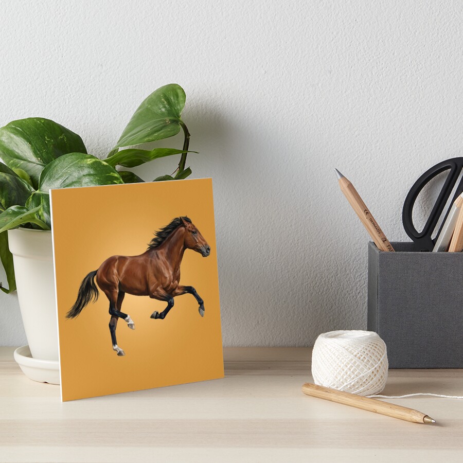 L'Afghan, un cheval originaire de l'Afghanistan