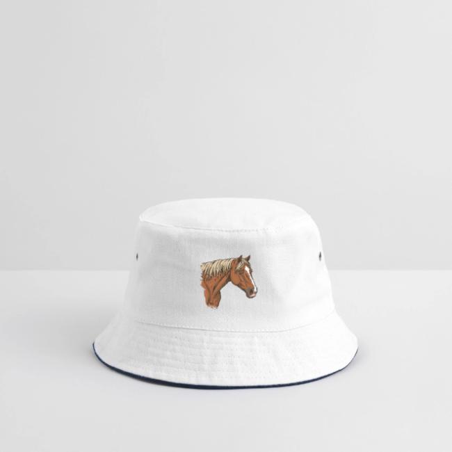 La t�te du Cheval A�nos avec une robe alezan