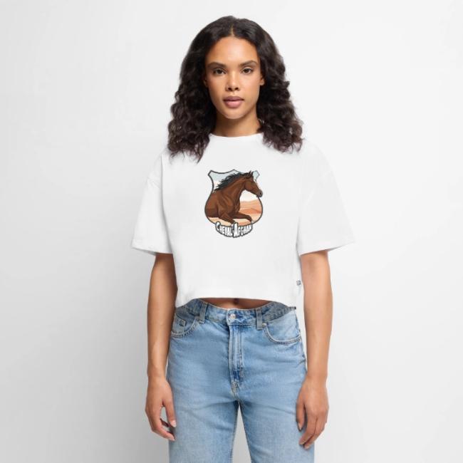 La t�te du Cheval Afghan, un blason et un paysage