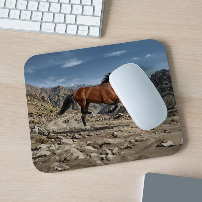 Le Cheval Afghan et un paysage de l'Afghanistan
