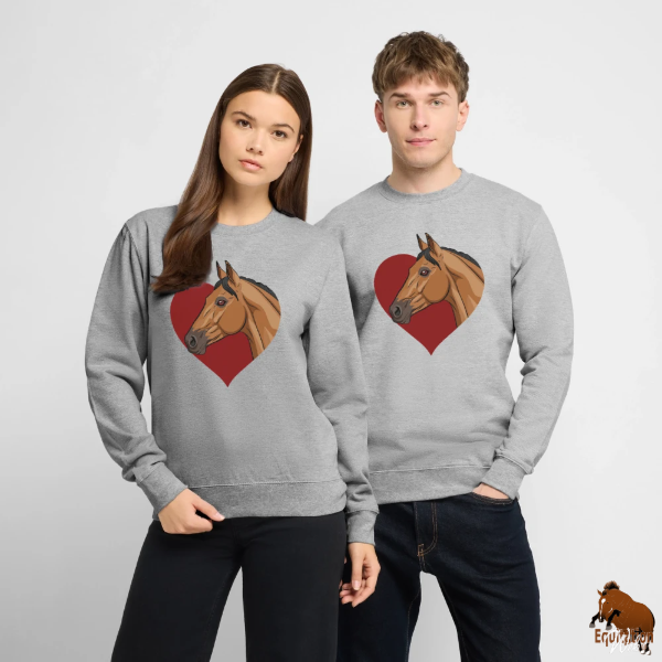 Le Cheval Akhal T�k� sur un sweat