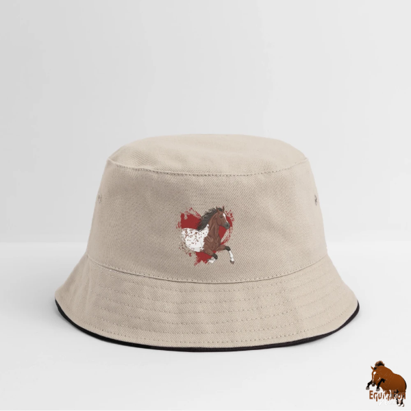 Le Cheval Appaloosa sur un bob