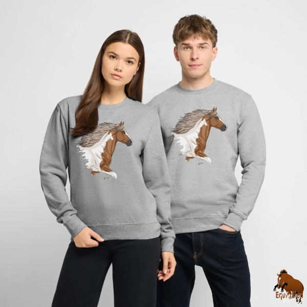 Le Cheval Irish Cob sur un sweat